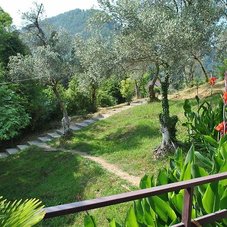 Villa Oliva New Athos Buitenkant foto