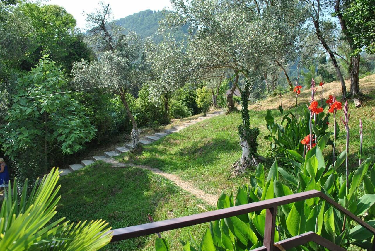 Villa Oliva New Athos Buitenkant foto